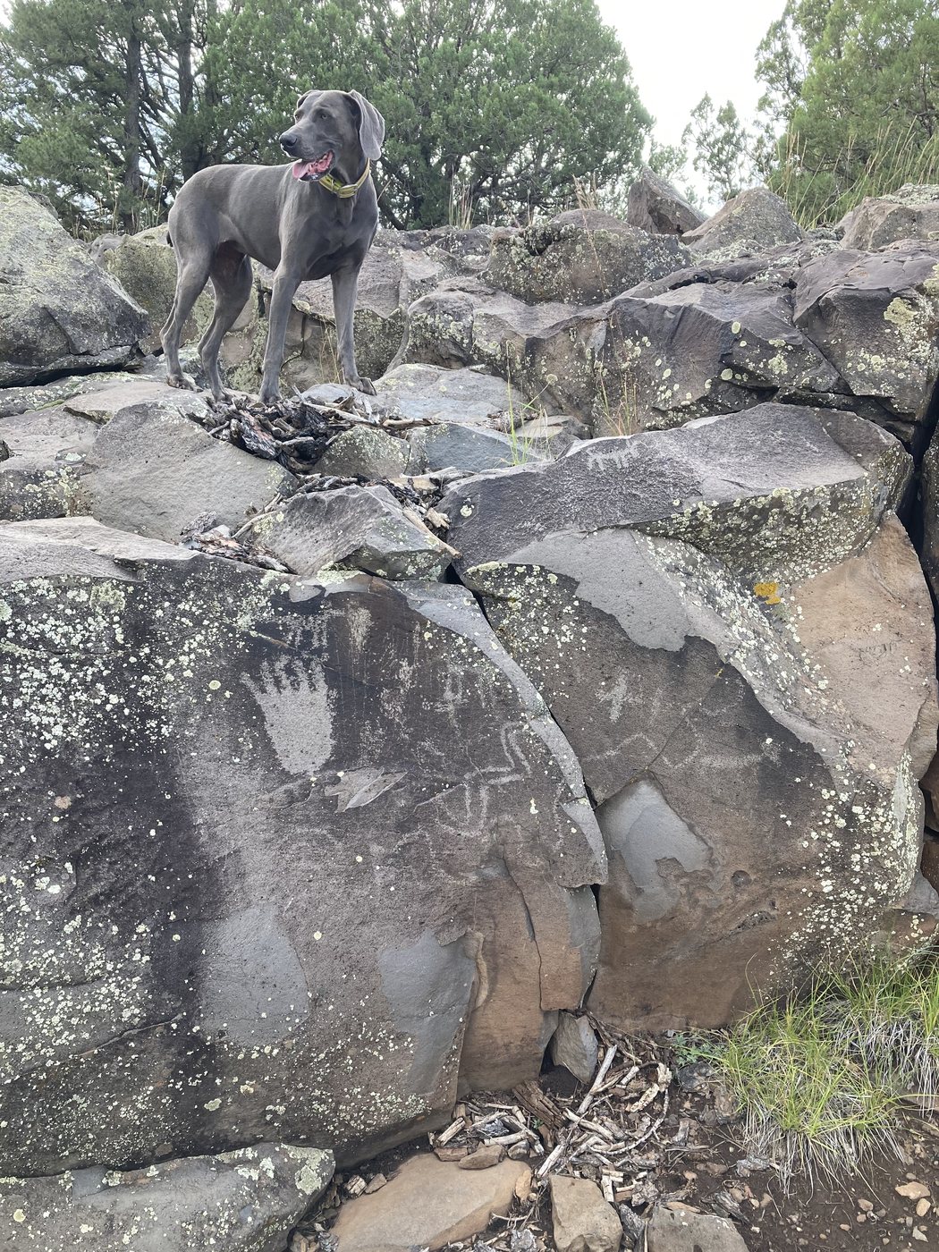 Amelia on the rocks