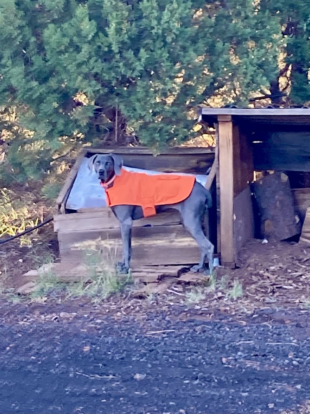Amelia ready for adventure